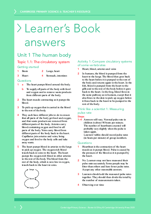 Psat Paper Lesson