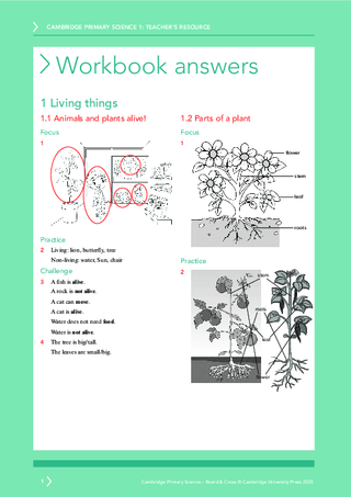 Psat Paper Lesson