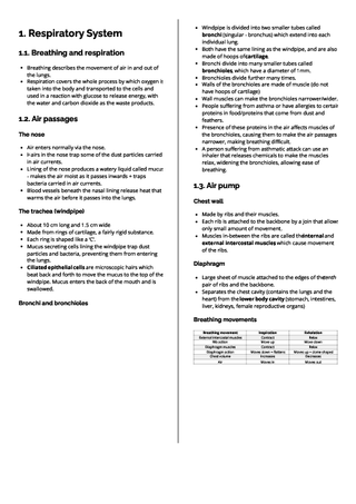 Psat Paper Lesson