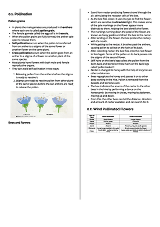 Psat Paper Lesson