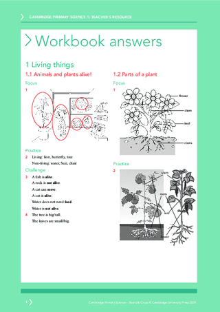Psat Paper Lesson