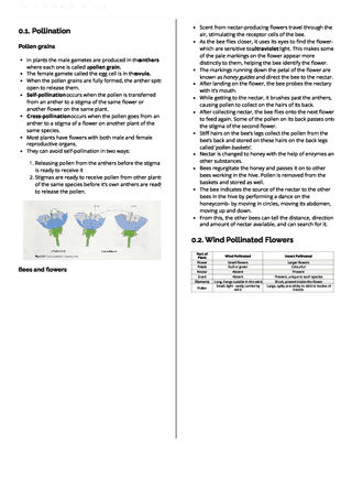 Psat Paper Lesson