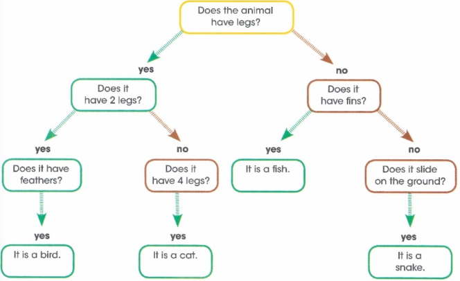 Does the animal have legs? - Yes. Does it have 2 legs? - Yes. Does it have feathers? - no. Does it have 4 legs? - yes. it is a bird. - yes. it is a cat. no. does it have fines? - yes. It is a fish. - no. Does it slide on the ground? - yes. It is a snake.