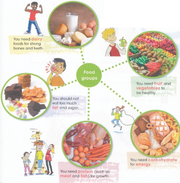 You need dairy foods for strong bones and teeth. / You need fruit and vegetables to be healthy. / ou should not eat too much fat and sugar. You need carbohydrate for energy. / You need protein (such as meat and fish) for growth.