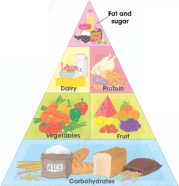 Fat and sugar /&nbsp;Dairy /&nbsp;Vegetables /&nbsp;Fruit /&nbsp;Carbohydrates