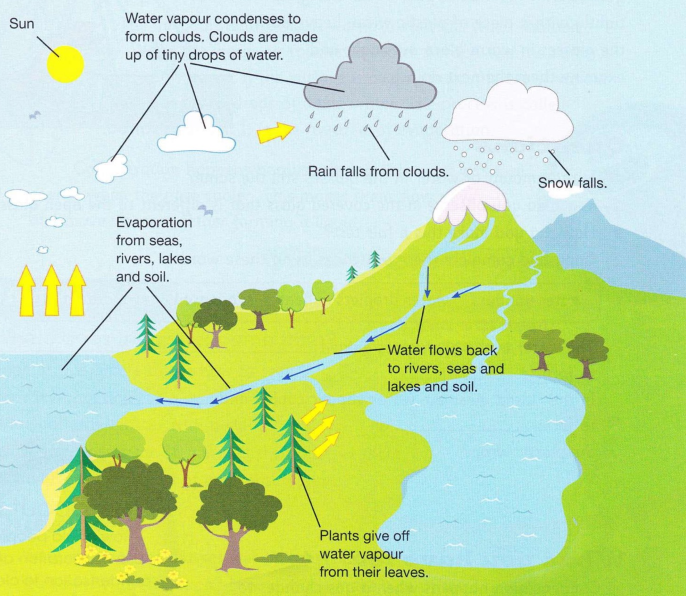 Science 5th Grade UNIT 3 States Of Matter 3.6 The Water Cycle 