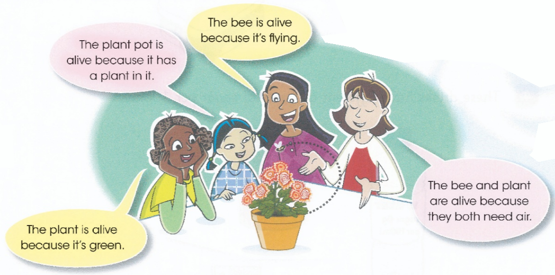 The plant pot is alive because it has a plant in it. / The bee is alive because it's flying. / The bee and plant are alive because they both need air. / The plant is alive because it's green.