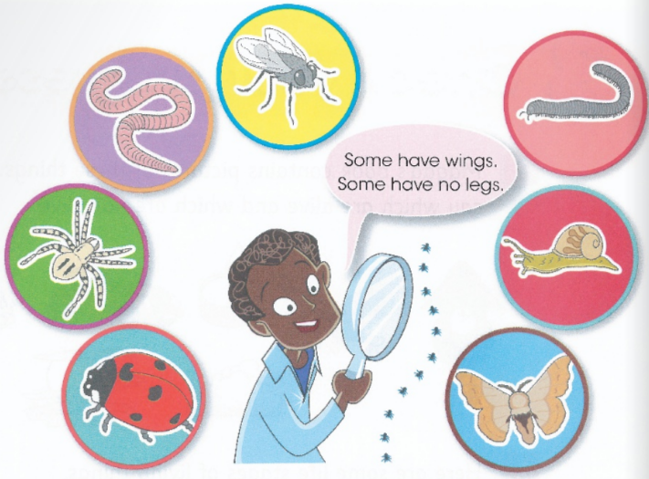 Some have wings. Some have no legs