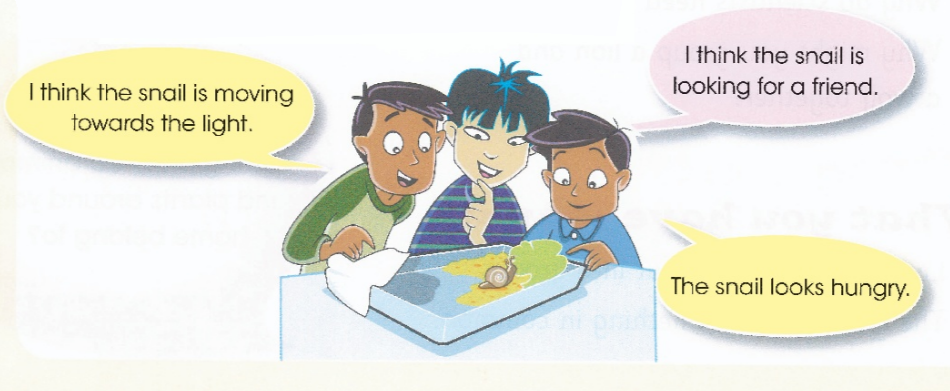 I think the snail is moving towards the light. /&nbsp;I think the snail is looking for a friend. /&nbsp;The snail looks hungry.