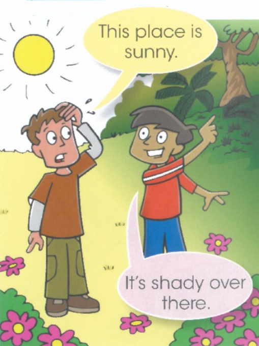 This place is sunny. / It's shady over there.