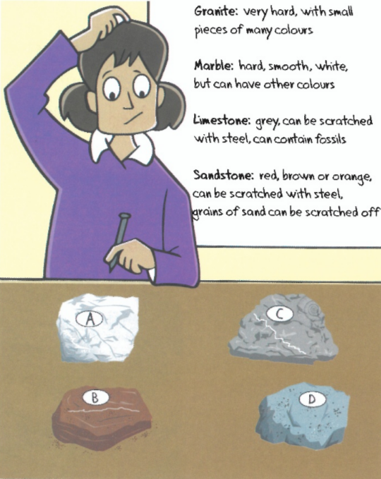 Granite: very hard, with small pieces of many colours / Marble: hard, smooth, white, but can have other colours / Limestone: grey,can be scratched with steel, can contain fossils Sandstone: red, brown or orange, can be scratched with steel, grains of sand can be scratched off