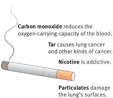 Carbon monoxide reduces the oxygen-carrying capacity of the blood. Tar causes lung cancer and other kinds of cancer. Nicotine is addictive. Particulates damage the lung's surfaces.