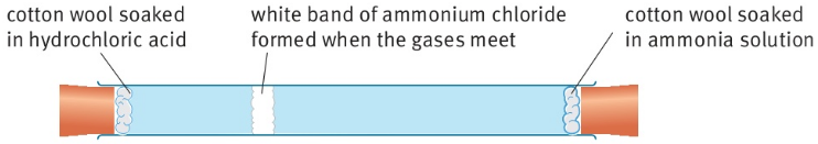 cotton wool soaked in hydrochloric acid white band of ammonium chloride formed when the gases meet cotton wool soaked in ammonia solution