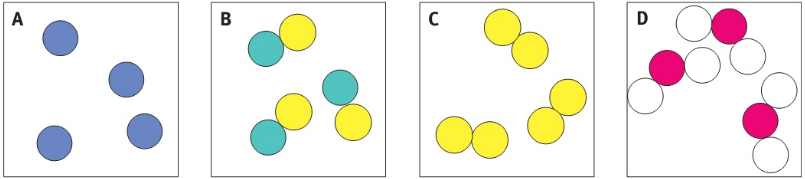 A / B / C / D