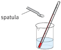 spatula