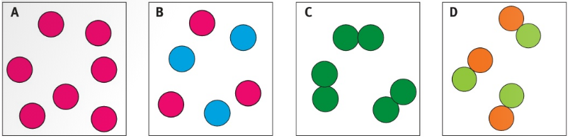 َ A / B / C / D 