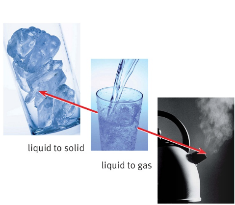liquid to solid liquid to gas