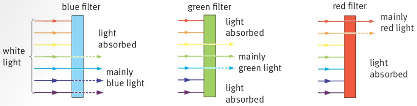 blue filter green filter red filter white light light absorbed absorbed  mainly light mainly blue light light absorbed mainly green light  light absorbed mainly red light light absorbed