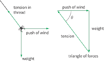 tension in thread / push of wind / weight / trension / triangle of forces