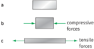 compressive forces / tensile forces