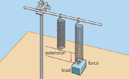 extension /  forces / load