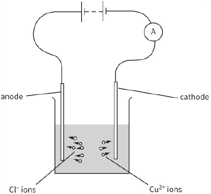 anode / cathode / Cl-ions / $C{u^{2 + }}$ ions