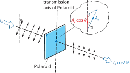 transmission axis of Polaroid / Polaroid 