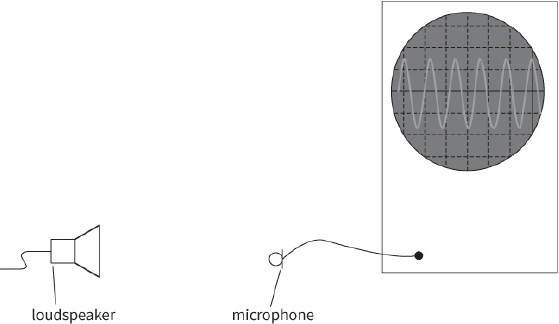 loudspeaker / microphone