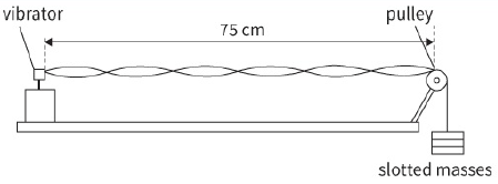 vibrator / pulley / slotted masses