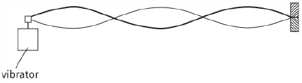 vibrator