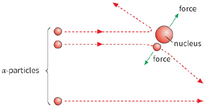 force / nucleus / force / $\alpha  - $ particles