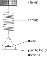 clamp / spring / mass / pan to hold masses