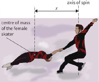 axis of spin / center of mass of the female skater