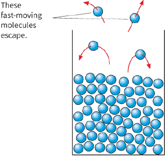 These fast-moving molecules escape