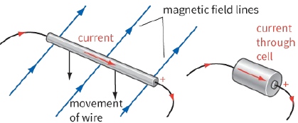 magnetic field lines / current / movement of wire / current through cell